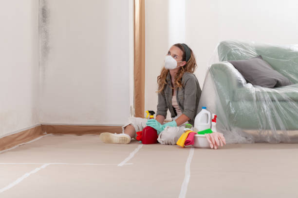 Reliable Mold Remediation contractor in Branchville, VA by Cheap Mold Removal